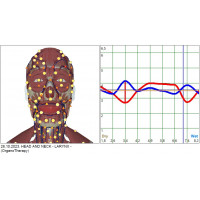 Metatron Remote Standard Health Test