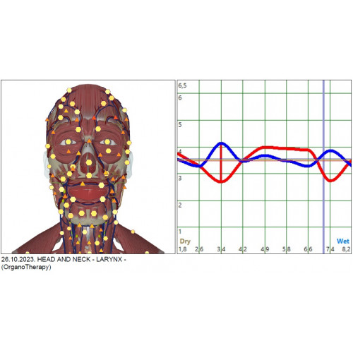 Metatron Remote Standard Health Test