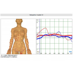 Metatron Remote Express Health Test