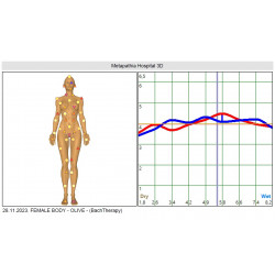Metatron Remote Detailed Health Test and Therapy