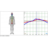 Metatron Alternative Diagnostics and One Treatment