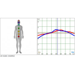 Metatron Alternative Diagnostics and One Treatment