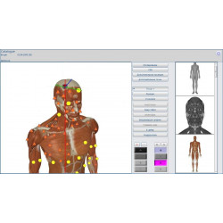 Metatron Remote Treatment 30 min - 10-sessions