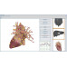 Metatron Remote Standard Health Test
