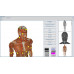 Metatron Remote Standard Health Test