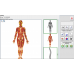 Metatron Remote Detecting and Removing Viruses and Bacteria - 1-session Metatron Remote Detecting and Removing Viruses and Bacteria - 1-session